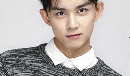 爆料娱乐圈90后,青春风采与时代印记