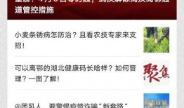 团风新闻爆料电话,揭秘本地热点事件背后的真相