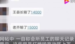 陕西爆料最新消息视频,视频揭露惊人内幕，揭秘事件真相